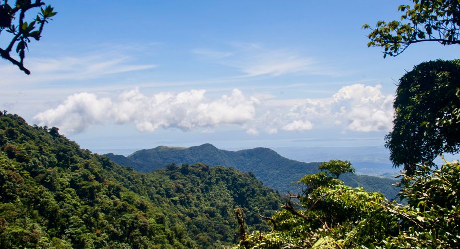 Mooie natuur van Monteverde